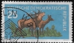 Stamps Germany -  DDr