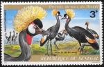 Stamps Senegal -  aves