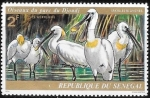 Sellos de Africa - Senegal -  aves