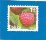 Sellos de Europa - Polonia -  FRAMBUESA