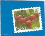 Stamps Poland -  CEREZAS
