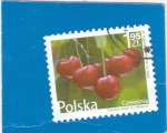 Sellos de Europa - Polonia -  CEREZAS