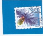 Stamps Poland -  FLORES