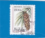 Stamps Poland -  PIÑA