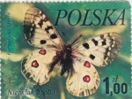 Stamps Poland -  Mariposa