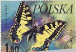 Stamps Poland -  Mariposa