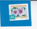 Sellos de Oceania - Australia -  FLORES