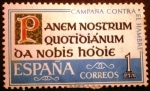 Stamps Spain -  ESPAÑA 1963 Campaña contra el hambre