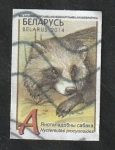 Stamps Belarus -  879 - Fauna, Mapache Nyctereutes procyonoides