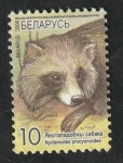 Stamps : Europe : Belarus :  631 - Mapache Nyctereutes procyonoides