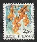 Stamps Finland -  1093 - Fruta del bosque, madroño