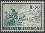 Stamps : Europe : Belgium :  BELGICA_SCOTT B797.01