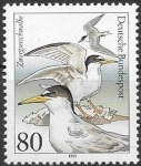 Stamps Germany -  aves