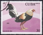 Sellos de America - Cuba -  Gallo Giro