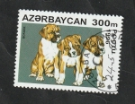 Stamps : Asia : Azerbaijan :  265 - Perros, Boxer alemán