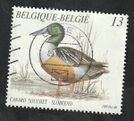 Stamps Belgium -  2334 - Pato salvaje