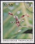 Sellos de America - Cuba -  Orquídea Dendrobium híbrido