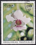 Sellos de America - Cuba -  Orquídea Vanda