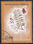 Stamps Cuba -  Cedrela mexicana