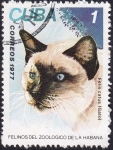 Stamps : America : Cuba :  Gato doméstico
