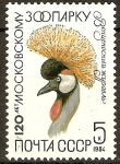 Stamps Russia -  Coronado