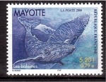 Sellos de Africa - Mayotte -  Ballena Azúl