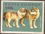 Sellos de Europa - Rumania -  Lobos