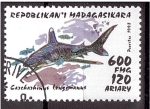 Stamps Madagascar -  serie- Tiburones
