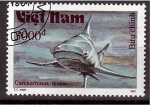 Stamps : Asia : Vietnam :  serie- Tiburones