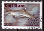 Stamps : Asia : Vietnam :  serie- Tiburones