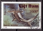 Sellos de Asia - Vietnam -  serie- Tiburones