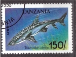 Stamps : Africa : Tanzania :  serie- Tiburones