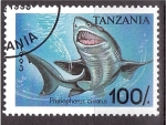 Stamps : Africa : Tanzania :  serie- Tiburones