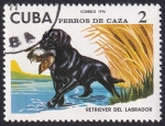 Sellos de America - Cuba -  Retrevier del Labrador