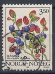 Sellos del Mundo : Europa : Noruega : NORUEGA_SCOTT 1087.01