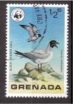 Sellos de America - Granada -  WWF- Aves salvajes de Grenada