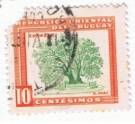 Sellos de America - Uruguay -  El Ombú