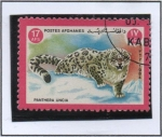 Stamps Afghanistan -  Uncia uncia