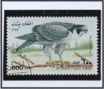 Sellos de Asia - Afganistn -  Alcon Peregrino