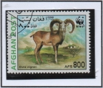 Sellos de Asia - Afganistn -  Ovis vignei