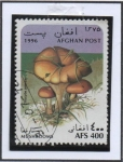 Stamps Afghanistan -  setas