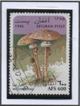 Stamps Afghanistan -  Volvariella bombycina