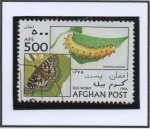 Stamps Afghanistan -  Zerynthia polyxema
