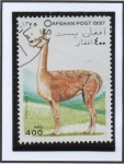Stamps Afghanistan -  Lama vicugna