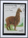 Stamps Afghanistan -  Lama guanicoe pacos