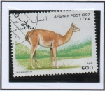 Stamps Afghanistan -  Lama guanicoe