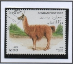 Stamps Afghanistan -  Lama Guanicoe glama