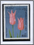 Stamps Afghanistan -  Mariette