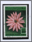 Stamps Afghanistan -  Nymphaea rubra