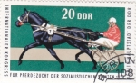 Stamps Germany -  CARRERA DE CABALLOS